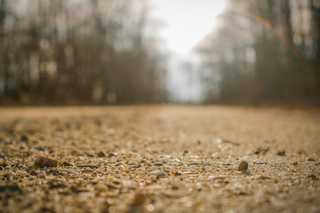 road, dust, forest, sand, sunlight, street, outdoors, nature, macro, closeup, dust, dust, dust, dust, dust